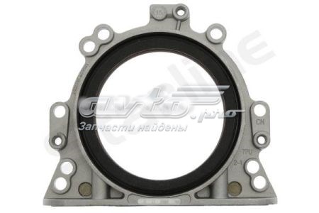  Starline GA6007