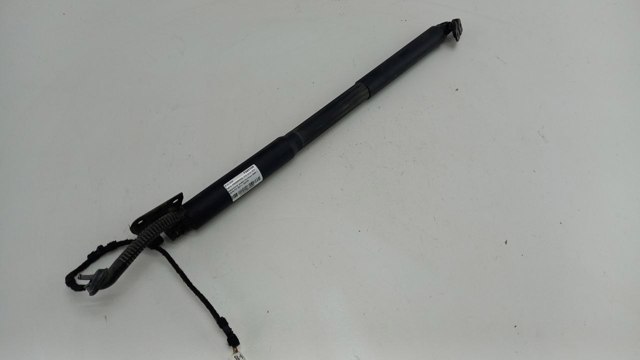 Купити 7263155 BMW Амортизатор двері багажника