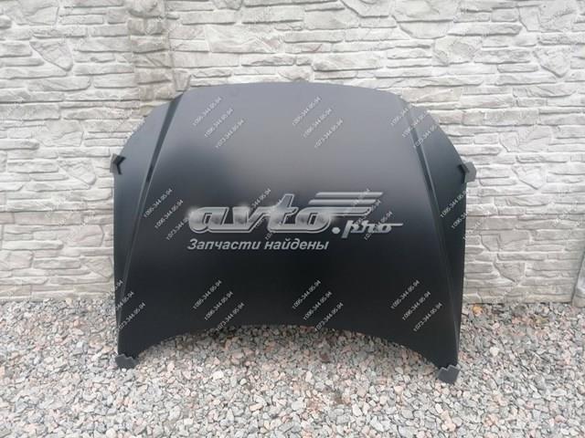 PMZ20064A Signeda Капот