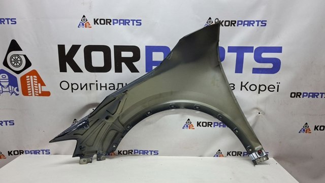 Купити 66320P1000 Hyundai/Kia Крила