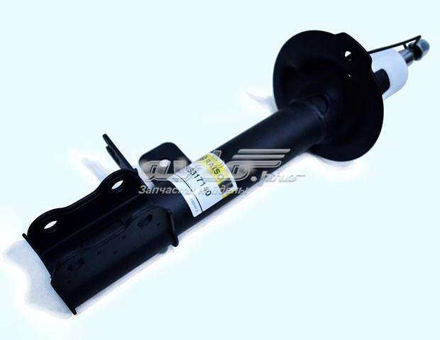 RS317140 Raiso Амортизатор задній, правий