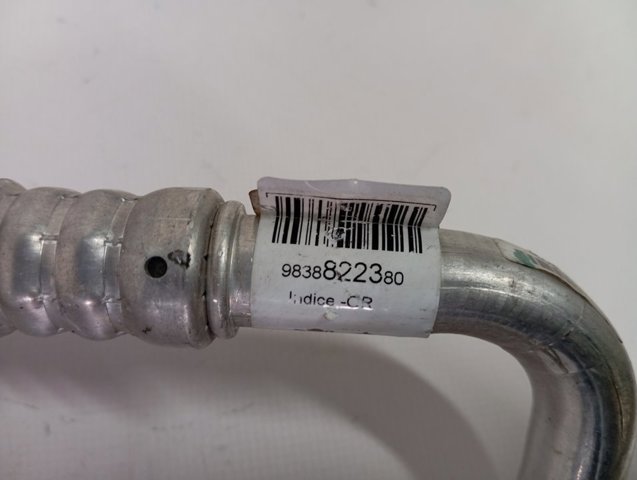 9838822380 Peugeot/Citroen 