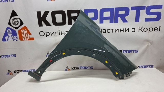 Крила 66321AT000 Hyundai/Kia