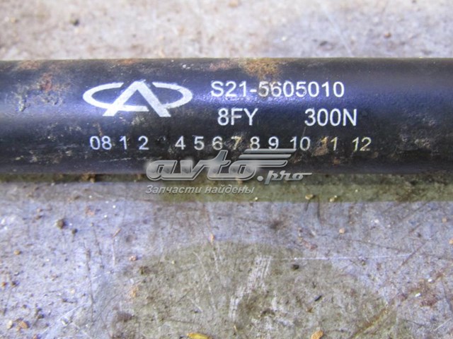 S215605010 Chery 