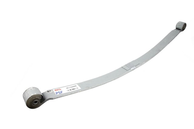 Купити 6C115560RB0019 TES Ресори задні (пружини задньої підвіски)