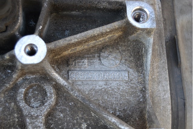 9663399280 Peugeot/Citroen 