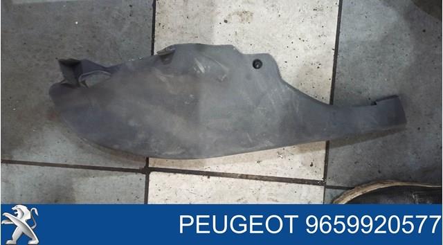Купити 9659920577 Peugeot/Citroen 
