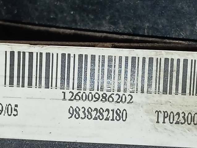 Купити 9838282180 Peugeot/Citroen 