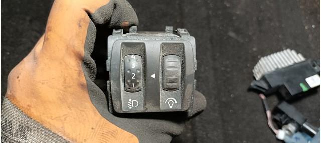  Renault (RVI) 251900007R
