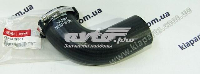 282632F001 Hyundai/Kia Трубка, що нагнітається