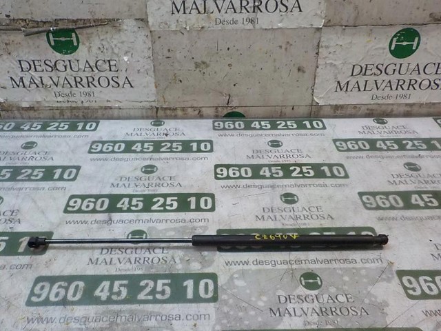 904505599R Renault (RVI) Амортизатор кришки багажника / двері 3/5-ї задньої