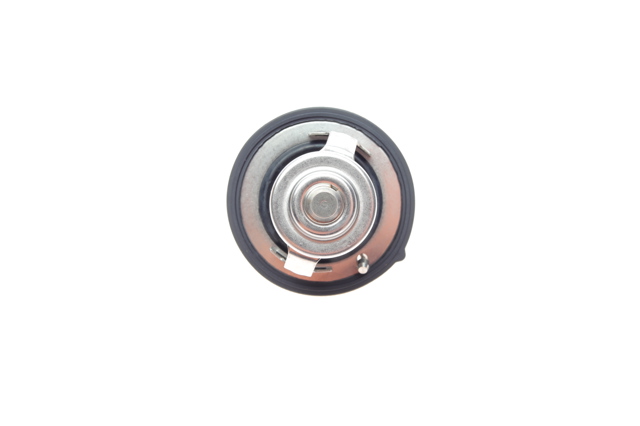 TE0054 Magneti Marelli Авто термостат