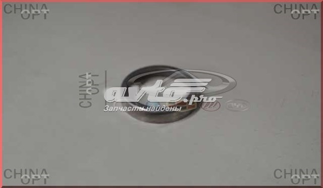 481H1003022 Chery 
