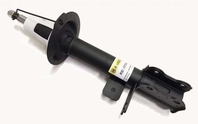 Амортизатор задній, правий RS317140 Raiso