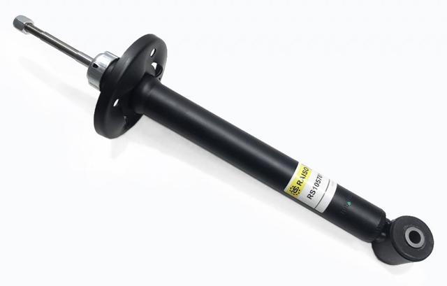 Задній амортизатор Raiso RS105781G