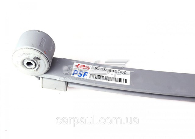 Купити BK315560EC0019ZT TES Ресори задні (пружини задньої підвіски)