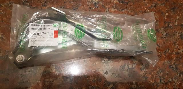 Завіса капота права FPS FP3813286 ціна, від 19.00 USD