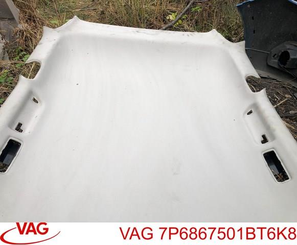 Купити 7P6867501BT6K8 VAG Ізоляція термошумова