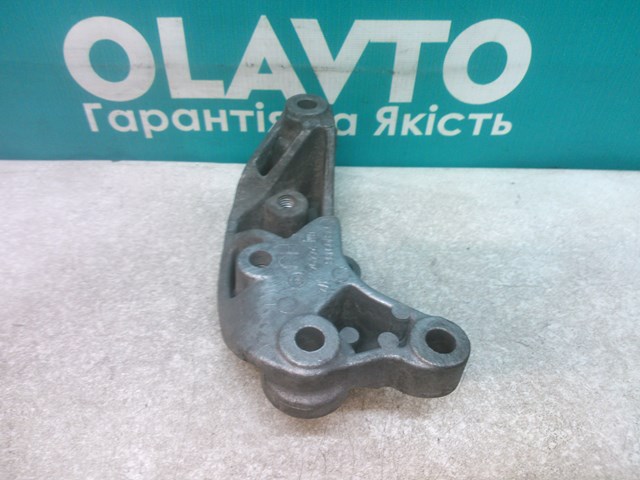  Opel 24411042