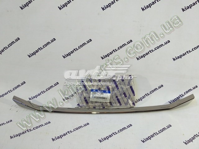 Купити 865643X200 Hyundai/Kia 