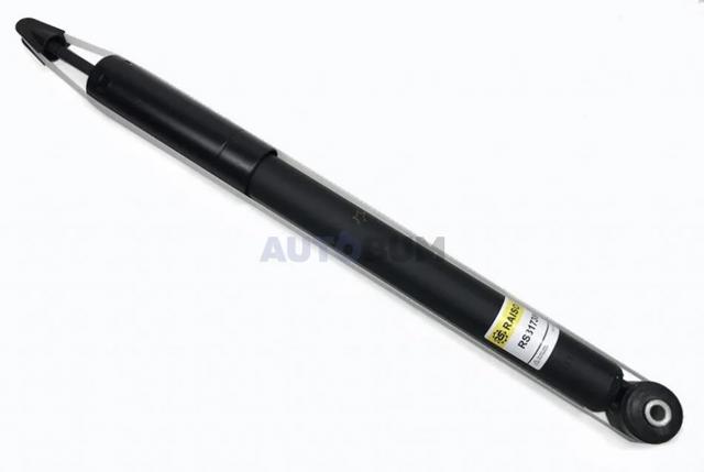 Задній амортизатор Raiso RS317384