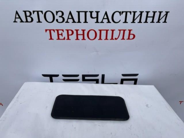 111006100B Tesla 