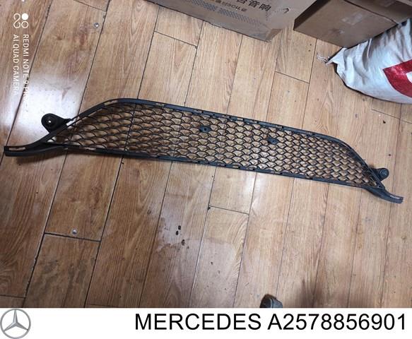  Mercedes A2578856901