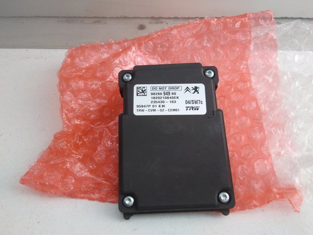 9828694980 Peugeot/Citroen 