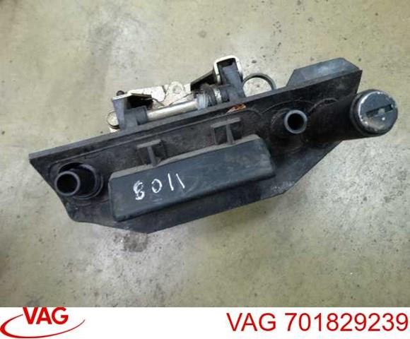 701829239 VAG 