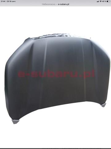 Купити PSB20039AQ Signeda Капот