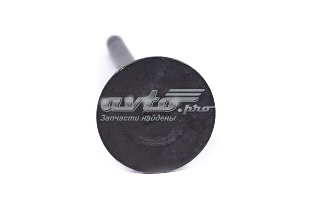 Клапан впускний Great Wall 1007011EG01 ціна, від 1.18 USD