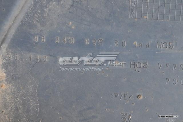 9634009980 Peugeot/Citroen 