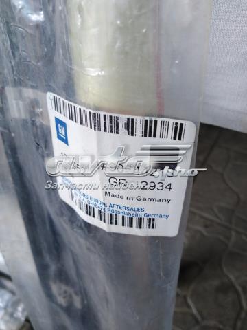 Накладка передніх дверей General Motors 90544213