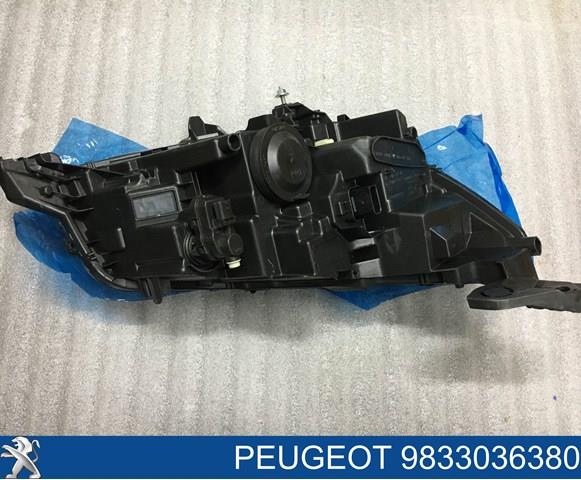 90200109 Peugeot/Citroen 