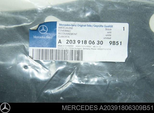  A20391806309B51 Mercedes