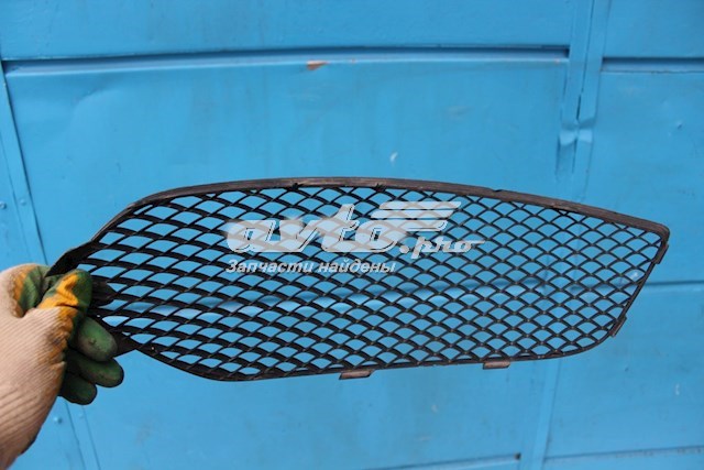 FP4649911 FPS Решітка переднього бампера, ліва