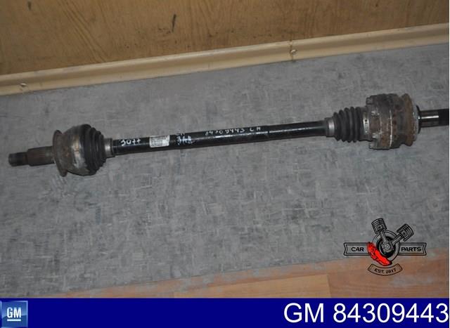  General Motors 84309443