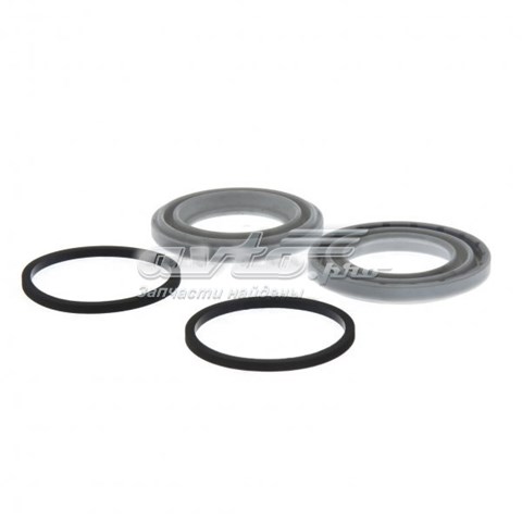  Centric Parts 14366013