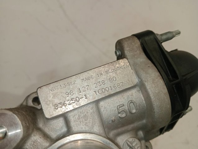 9812723880 Peugeot/Citroen Турбонаддув