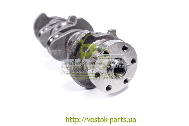  Chery 480EJ1005011