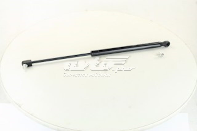 Амортизатор двері задньої Magneti Marelli 430719002400 ціна, від 8.03 USD