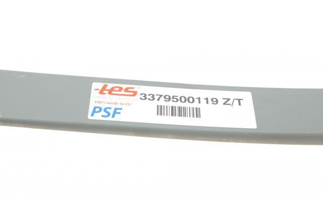 3379500119ZT TES Ресора (задня)