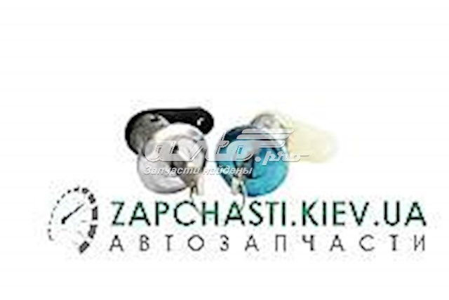 Купити 30824 Asam Личинка замка дверей передньої