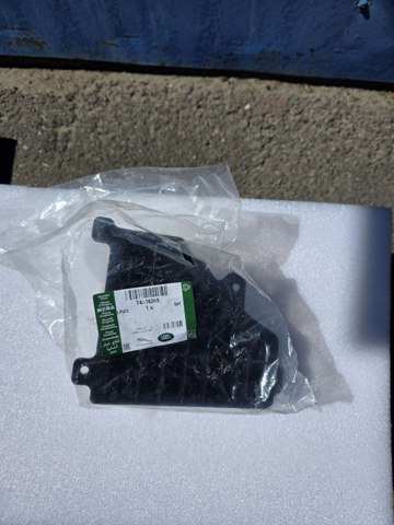 T4A16369 Jaguar