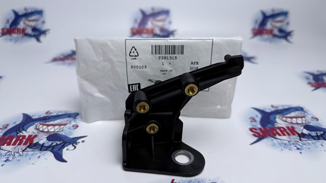 Jaguar T2H1315