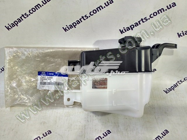 254313J000 Hyundai/Kia Розширювальний бачок охолодження