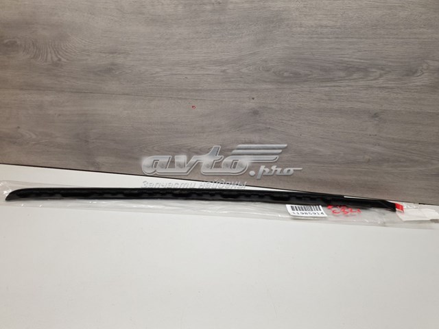 51317462218 BMW Захисна накладка переднього скла права