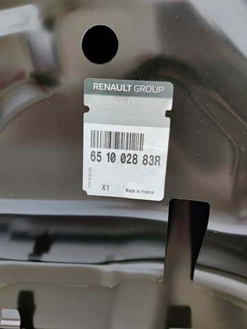 Капот 651002883R Renault (RVI)