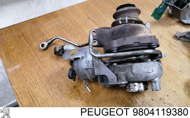  1610580580 Peugeot/Citroen