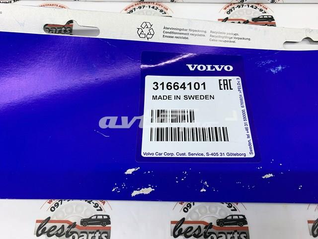 Бризковики задні 31664101 Volvo